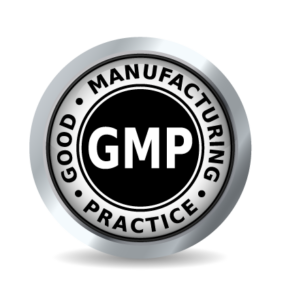 logo-GMP-286x300